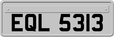 EQL5313