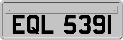 EQL5391