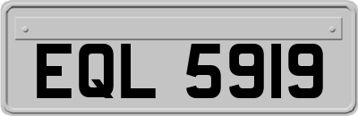 EQL5919