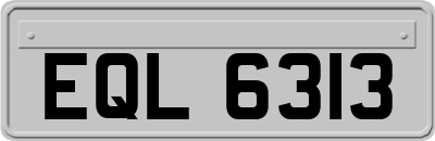 EQL6313
