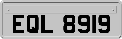 EQL8919