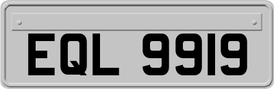 EQL9919