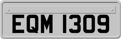EQM1309