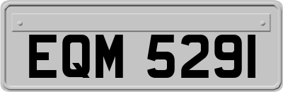 EQM5291