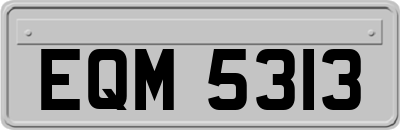 EQM5313