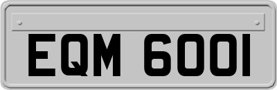 EQM6001