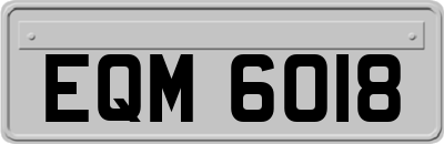 EQM6018