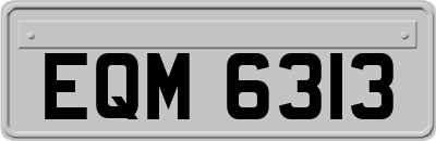 EQM6313