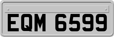 EQM6599