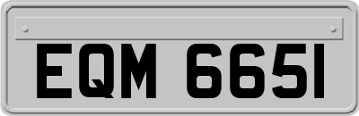 EQM6651