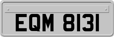 EQM8131