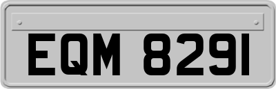 EQM8291