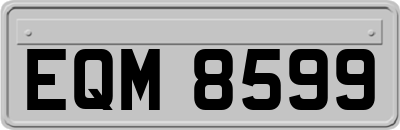 EQM8599