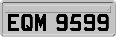 EQM9599