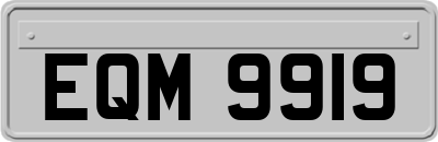 EQM9919
