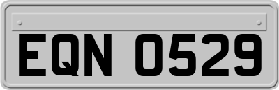 EQN0529