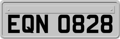 EQN0828