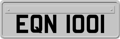 EQN1001