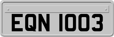 EQN1003