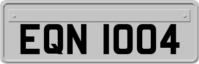 EQN1004