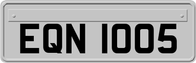 EQN1005
