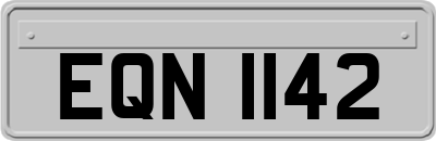 EQN1142