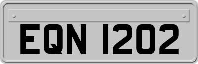 EQN1202