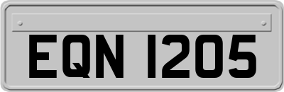 EQN1205