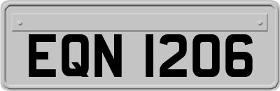 EQN1206