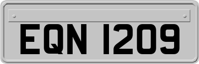 EQN1209