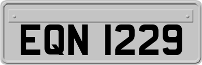 EQN1229