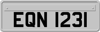 EQN1231