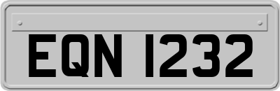 EQN1232
