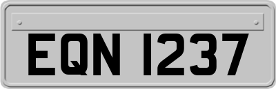 EQN1237