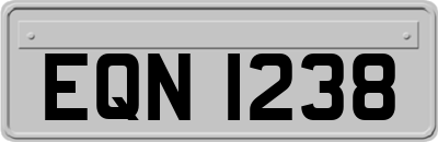EQN1238