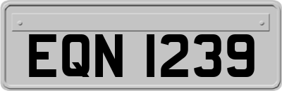 EQN1239