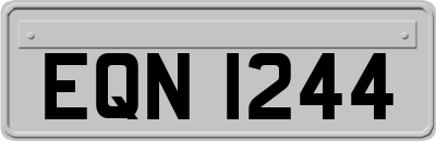 EQN1244