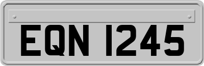 EQN1245