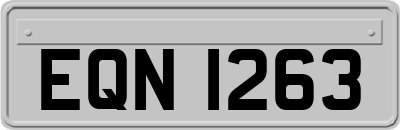 EQN1263