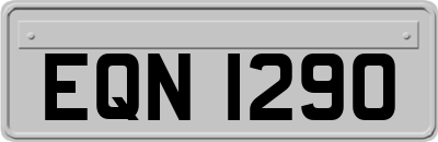 EQN1290