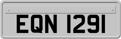 EQN1291