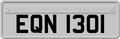 EQN1301