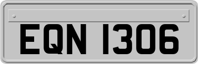 EQN1306
