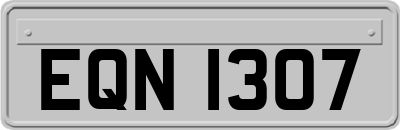 EQN1307