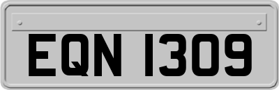 EQN1309