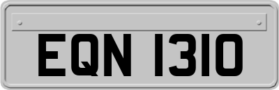 EQN1310