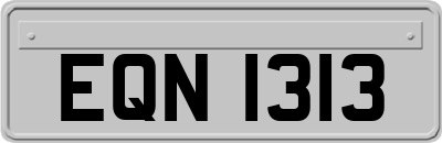 EQN1313