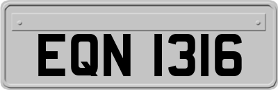 EQN1316
