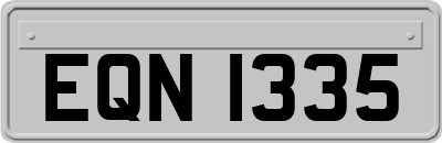 EQN1335