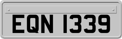 EQN1339